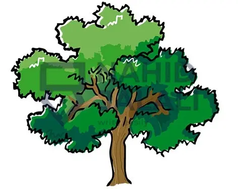 قصه کودکانه بلند: راز درخت آرزوها